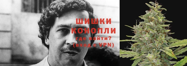 каннабис Аркадак