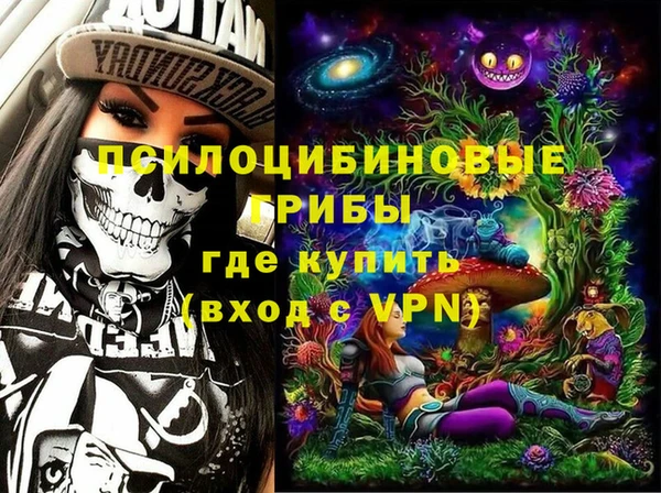 соль ск Арсеньев
