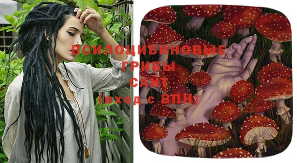 дурь Армянск