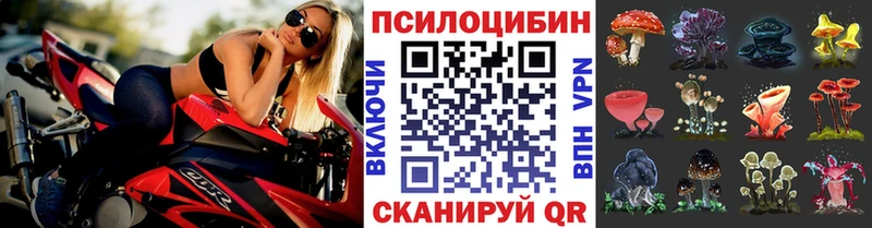 mega ССЫЛКА Сосногорск Галлюциногенные грибы мицелий цены наркотик